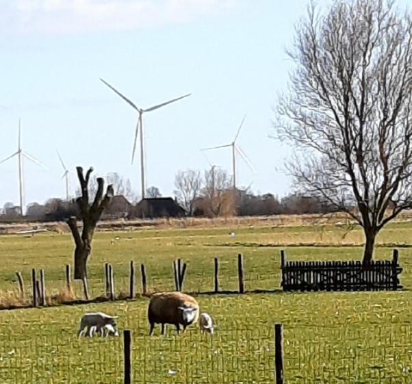 Tuinhuis Lutjewinkel 外观 照片